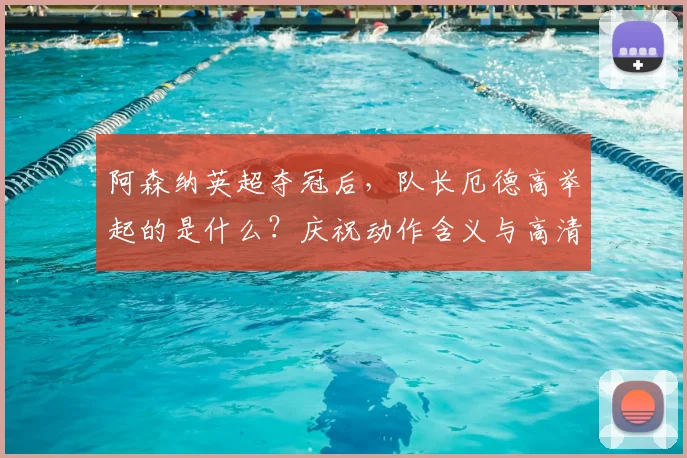 阿森纳英超夺冠后，队长厄德高举起的是什么？庆祝动作含义与高清图片解析