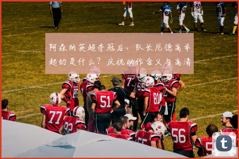 阿森纳英超夺冠后，队长厄德高举起的是什么？庆祝动作含义与高清图片解析
